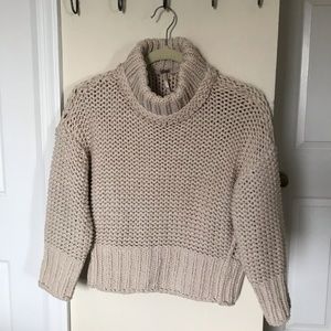 Cropped Turtle Neck Sweater